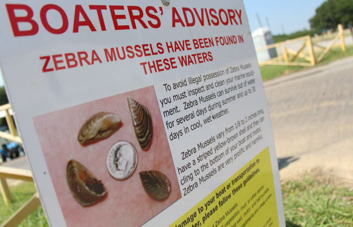 A sign alerting boaters to the presence of zebra mussels is displayed around Lewisville Lake, near Dallas in July 2013. Boat enthusiasts using any Texas lake or river must clean, drain and dry their watercraft to combat the spread of zebra mussels and other invasive species, the Texas Parks and Wildlife Commission said Thursday, May 22, 2014, expanding an existing rule to the entire state. (AP Photo/Uriel Garcia, File)