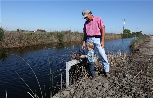 FILE - In this March 27, 2015 file photo, farmer Rudy Mussi watches as his grandson Lorenzo tries to turn a water valve on his almond orchard in the Sacramento-San Joaquin Delta near Stockton, Calif. Moving to meet voluntary water conservation targets, dozens of farmers in the Sacramento-San Joaquin River Delta submitted plans Monday, June 1 to the state saying they intend to plant less thirsty crops and leave some fields unplanted amid the relentless California drought, officials said. (AP Photo/Rich Pedroncelli, File)